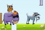 Burro Sem Burro Sem