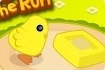 Chicks on the Run Chicks on the Run