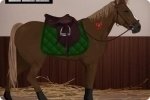 El caballo de tus sueños El caballo de tus sueños