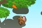 El conejo Fluffy El conejo Fluffy