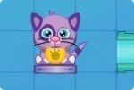El gato comegalletas El gato comegalletas