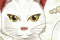 El gato matemático El gato matemático