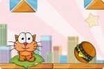 El gato trotamundos El gato trotamundos