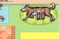Madre Perro Madre Perro