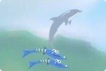 Olimpiadas de delfines 2 Olimpiadas de delfines 2