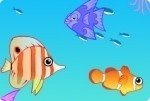 Organiza el acuario Organiza el acuario