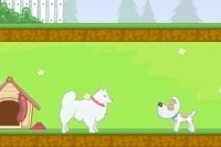 Parejas de animales Parejas de animales