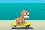 Perrito skater Perrito skater