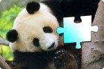 Puzzle de panda Puzzle de panda