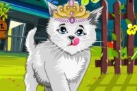 Vestir un Gatito Bonito Vestir un Gatito Bonito