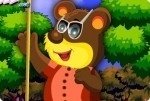 Viste al oso Viste al oso